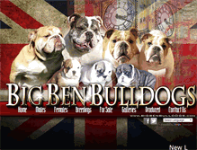 Tablet Screenshot of bigbenbulldogs.com